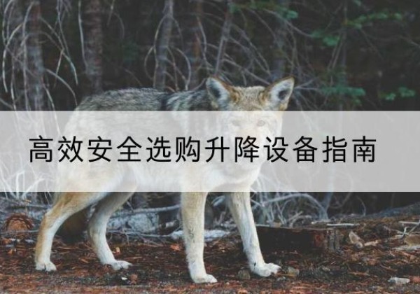 昌平区升降货梯厂家推荐-*安全选购升降设备指南