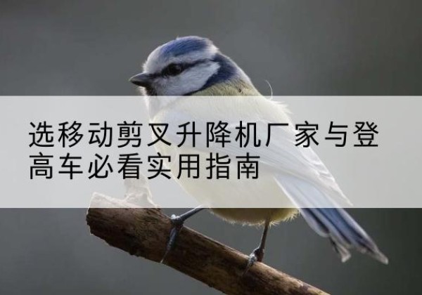 昌平区电动升降机厂家-选移动剪叉升降机厂家与登高车必看实用指南